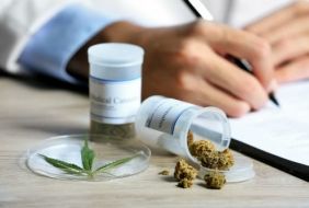 Maconha medicinal é liberada pela Anvisa