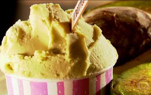 Entenda as diferenças entre gelato, sorbet e sorvetes em geral