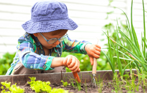 5 exemplos sustentáveis para ensinar aos filhos desde pequenos 