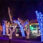 São Paulo se ilumina para o Natal