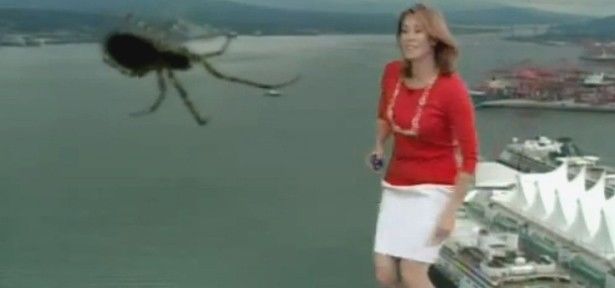 Apresentadora leva susto com aranha na lente