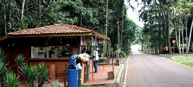 Conheça o Parque Zoobotânico de Carajás