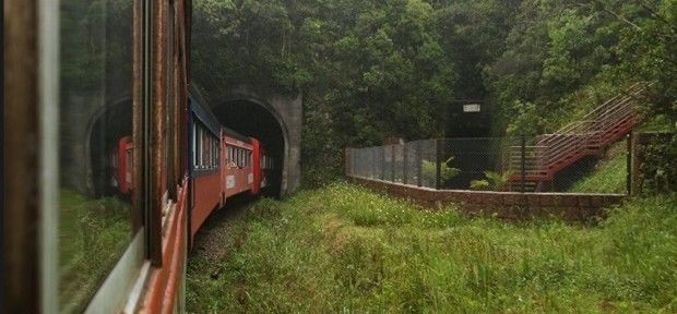 Mata Atlântica é um dos pontos turísticos de Curitiba (PR); Faça ecoturismo na Copa 2014!