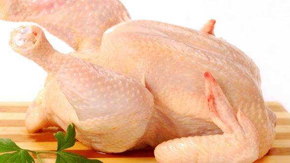 Gosta de receitas com frango? Veja detalhes que você precisa saber sobre o alimento